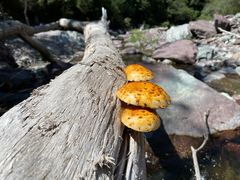-双龙峡