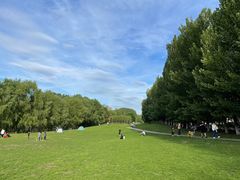 -长白岛森林公园