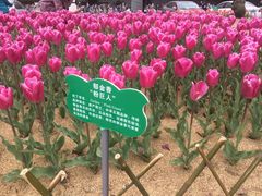 -江南大学(蠡湖校区)