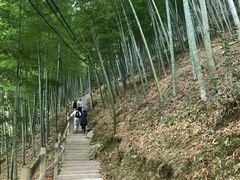 -藏龙百瀑风景区