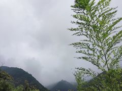 -太湖源景区