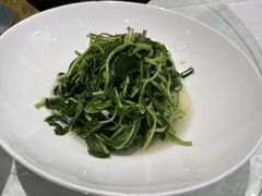 -丁老爷子苏香圆