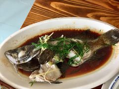 石斑鱼清蒸-八方海味餐厅