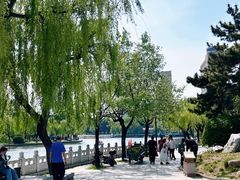 -莱西月湖公园