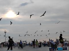 -东港音乐喷泉广场