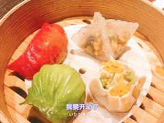 -甄御•海鲜新青岛菜(麦岛店)