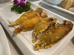 炸马头鱼-潮人姐妹轩(海宁路店)