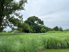 -良渚古城遗址公园