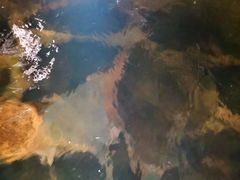 -泉城欧乐堡戏水湾艺术养生温泉