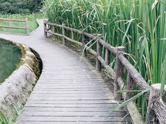 -成都市活水公园