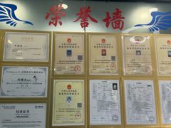 -博特宠物医院24h犬猫全科.骨科·异宠
