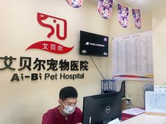 -艾贝尔宠物医院 ·内科全科(梁溪路店)