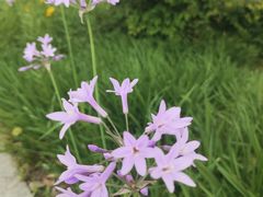 -玄武湖景区-情侣园游乐场