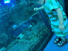 -乐从天佑城海洋馆