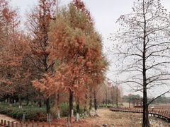 -苏州东太湖生态园