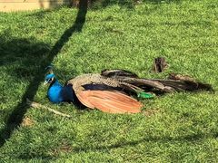 -南戴河国际娱乐中心