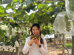 -马陆小张葡萄园农家乐