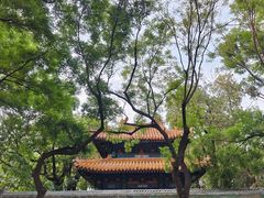 -北京国子监胡同