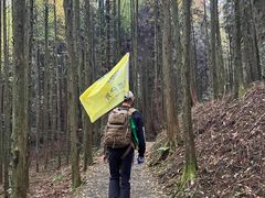-山王坪喀斯特国家生态公园
