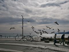 -海云台海滩