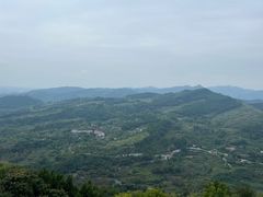 -三圣花乡旅游区