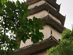 -江心屿景区