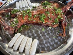 -洪湖家庭农场·团建·露营·会议