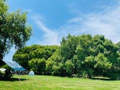 -上海共青森林公园