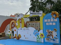 -帕帕拉兹宠物(亚洲旗舰店)