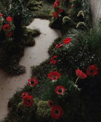 -忆江南婚礼策划(姑苏店)