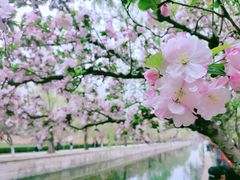 -元大都城垣遗址公园