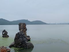 -东湖落雁景区