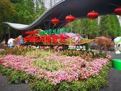 -东平国家森林公园