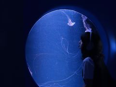 -欢乐海岸海洋奇梦馆