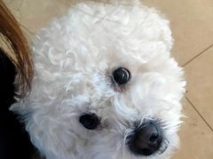 -北京恒爱动物医院(清景园分院)