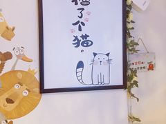 -70cat德文卷毛猫·缅因猫纯种猫舍