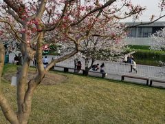 -精悦蓉(松江万达广场店)