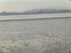 -宝安西湾红树林湿地公园