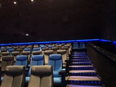 放映厅-奥斯卡升龙国际影城(RealD Cinema)