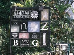 -太平山顶
