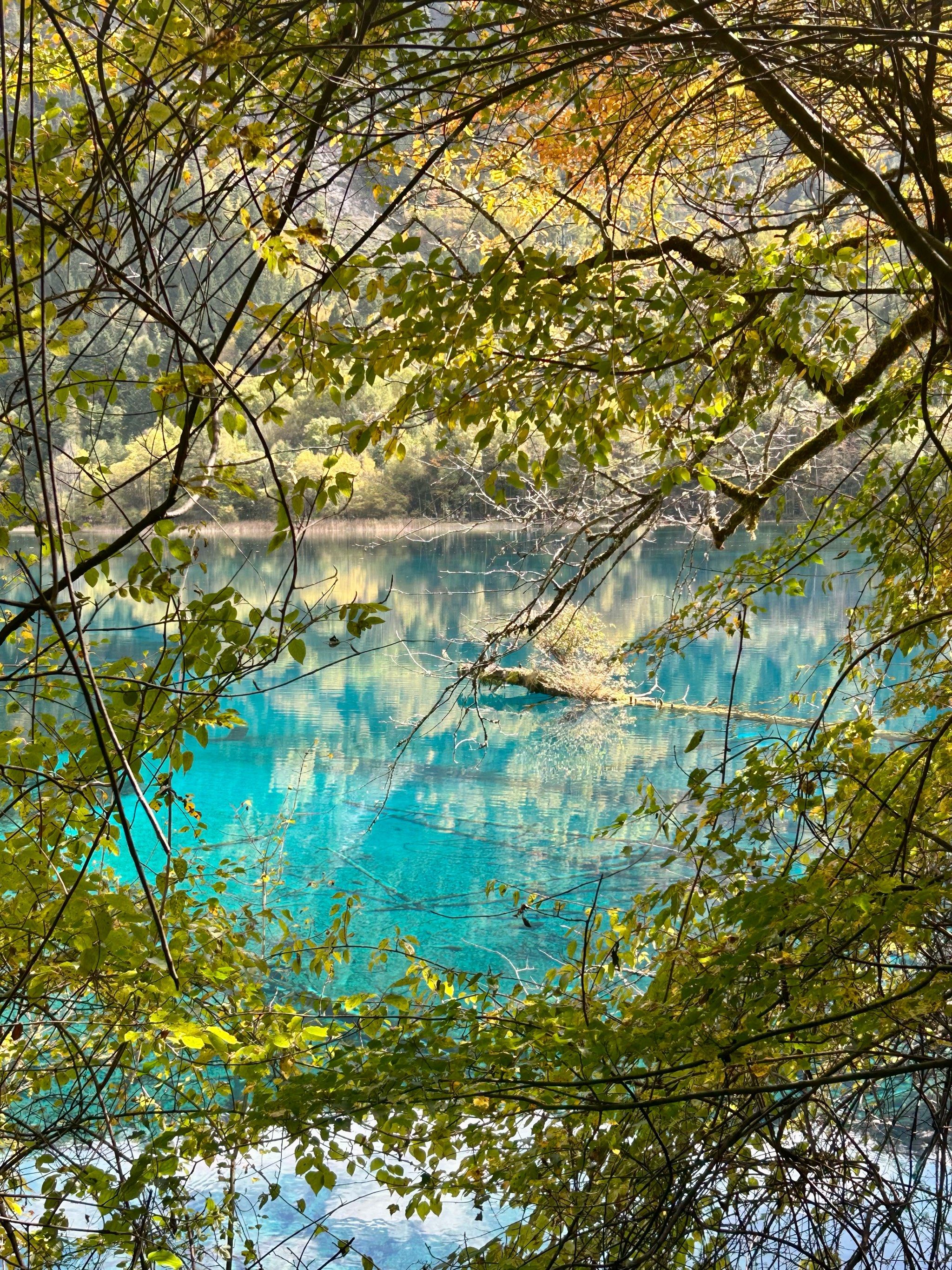 黄龙九寨站高铁2小时,黄龙九寨战🚌到九寨沟沟口2小时
住宿🏨