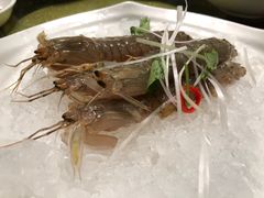 -皇朝海鲜酒店