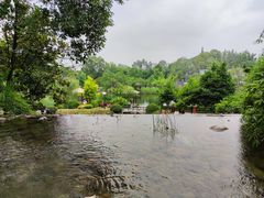 -成飞公园