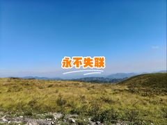 -叶新小吃店(来凤小区总店)