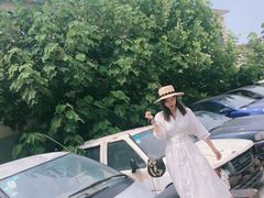 -济南轻骑摩托车有限公司(和平路)