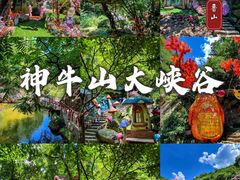 -神牛大峡谷