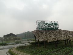 -黄龙溪欢乐田园