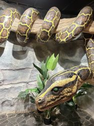 -Zoolung Zoolung动物主题公园(海信广场店)