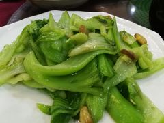 -姚林轩