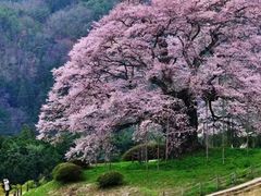 -学习谷日语培训日本留学·多语种外语教学(西单宣武分部)